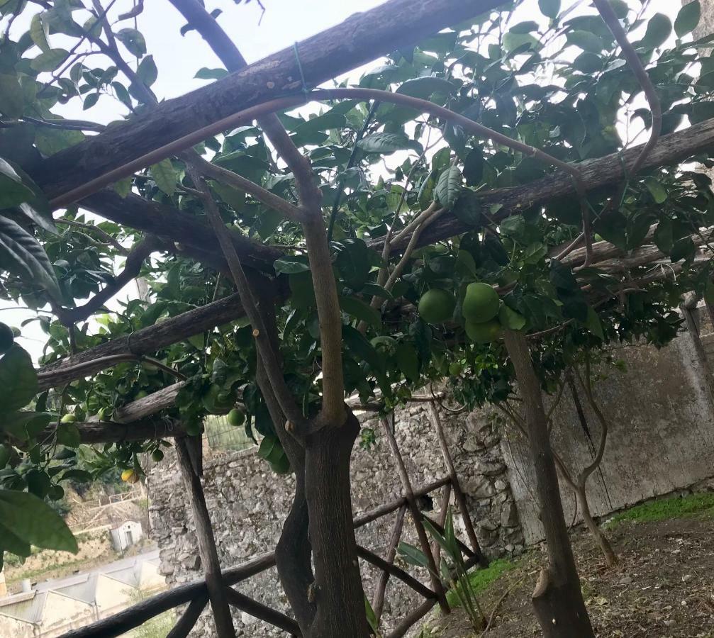 Le Due Porte مايوري المظهر الخارجي الصورة