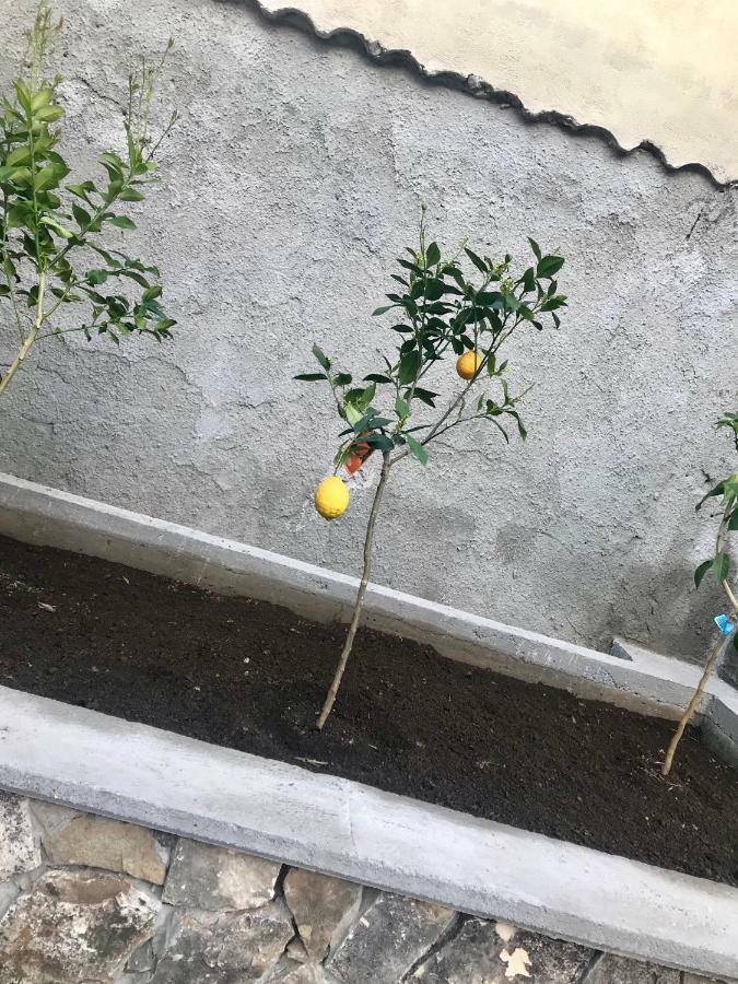 Le Due Porte مايوري المظهر الخارجي الصورة